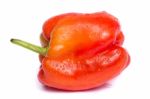 Fresh Red Bell Pepper Stock Photo