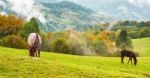 Warm Autumn Evening In Mountains Stock Photo