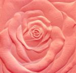 Sandstone Sculpture Of Rose Stock Photo