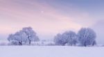 Moon In The Winter In The Sky Stock Photo