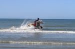 Horse Riding In The Sea Stock Photo