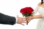 Bride Offering Rose Bouquet To The Groom Stock Photo