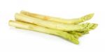 White Asparagus Isolated Stock Photo