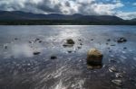 Loch Morlich Stock Photo