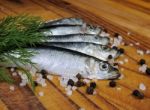 Salted Sprats Stock Photo