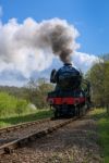 Flying Scotsman On The Bluebell Line Stock Photo