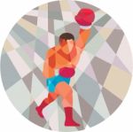 Boxer Boxing Punching Circle Low Polygon Stock Photo