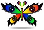 Multicolored Butterfly Stock Photo