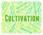Cultivation Word Means Sow Grow And Farming Stock Photo