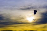 Paramotor In Sunset Sky Stock Photo