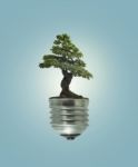 Green Energy Eco Concept, Tree Growing Out Of Bulb Stock Photo