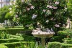 Malaga, Andalucia/spain - July 5 : View Of The Gardens Outside T Stock Photo