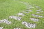 Stone Path Way On Grass Stock Photo