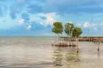 Wooden Pier Dock And Ocean View At Caye Caulker Belize Caribbean Stock Photo