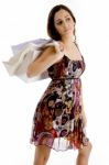 Young Female With Shopping Bags Stock Photo