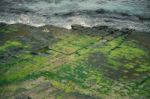 Tessellated Pavement In Pirates Bay Stock Photo