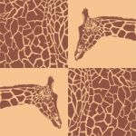 Giraffe Patterns Beige And Brown Stock Photo