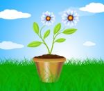 Potted Plant Means Cultivation Gardening And Plants Stock Photo