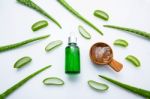 Aloe Vera On White Background Stock Photo