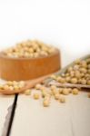 Organic Soya Beans Stock Photo