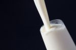 White Milk In Glass Stock Photo