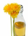 Dandelion Wine Stock Photo