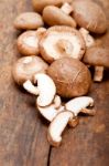 Shiitake Mushrooms Stock Photo