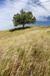 Rural Countryside Stock Photo