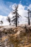 Mammoth Hot Springs Stock Photo