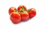 Tomato Stock Photo