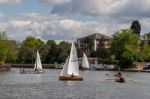 Sailing On The River Thames Near Kingston-upon-thames Surrey Stock Photo