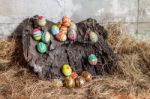 Colorful Easter Egg On Old Log Stock Photo