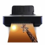 Printer And Giraffe Stock Photo