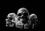 Skull With A Black Background Stock Photo