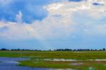 Landscape At Chobe River Stock Photo