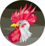 Chicken Rooster Head Side Low Polygon Stock Photo