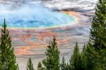 Grand Prismatic Spring Stock Photo