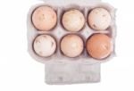 Eggs In Carton Stock Photo