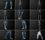 3d Rendering Medical Illustration Of The Tibia Bone Stock Photo