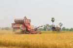 Combine Harvester Stock Photo