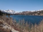 Beautiful Lake, Snow Mountain And Pine Tree Stock Photo