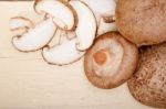 Shiitake Mushrooms Stock Photo