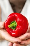 Hand Holding Sweet Pepper Stock Photo