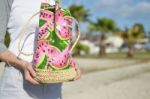 Watermelon Printed Bag Stock Photo