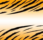 Tigerskinbackground Stock Photo