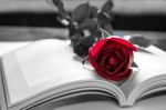 Open Book And A Red Rose. Vintage Tone Stock Photo