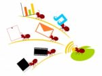 Red Ants Wireless Lan Teamwork Illustration Stock Photo