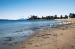 Jubilee Beach In The Town Of Swansea, Tasmania Stock Photo