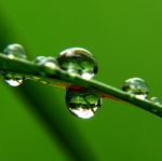 Some Raindrops On A Leaf Stock Photo