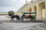 Horse And Carriage At The Schonbrunn Palace In Vienna Stock Photo